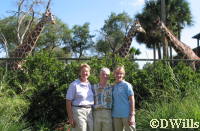Linda, Deb and Wanda and the Giraffes