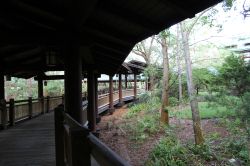 Covered Walkway at The Villas at Disney's Wilderness Lodge