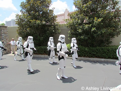501st stormtroopers