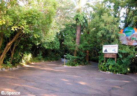Pangani Forest Exploration Trail Entrance