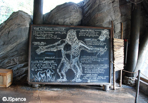 Gorilla Facts and Figures (Chalkboard)