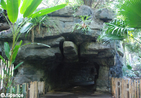 Turtle Cave
