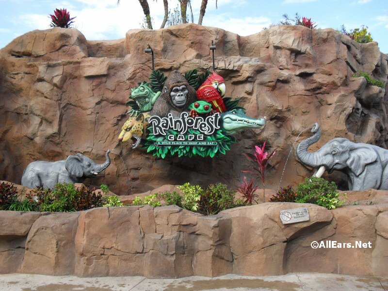 Rainforest café