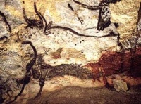 Cave paintings in Lascaux-aurochs, France.