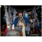 Animated Talking Pirate at World of Disney