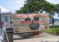 Welcome Disney Magic