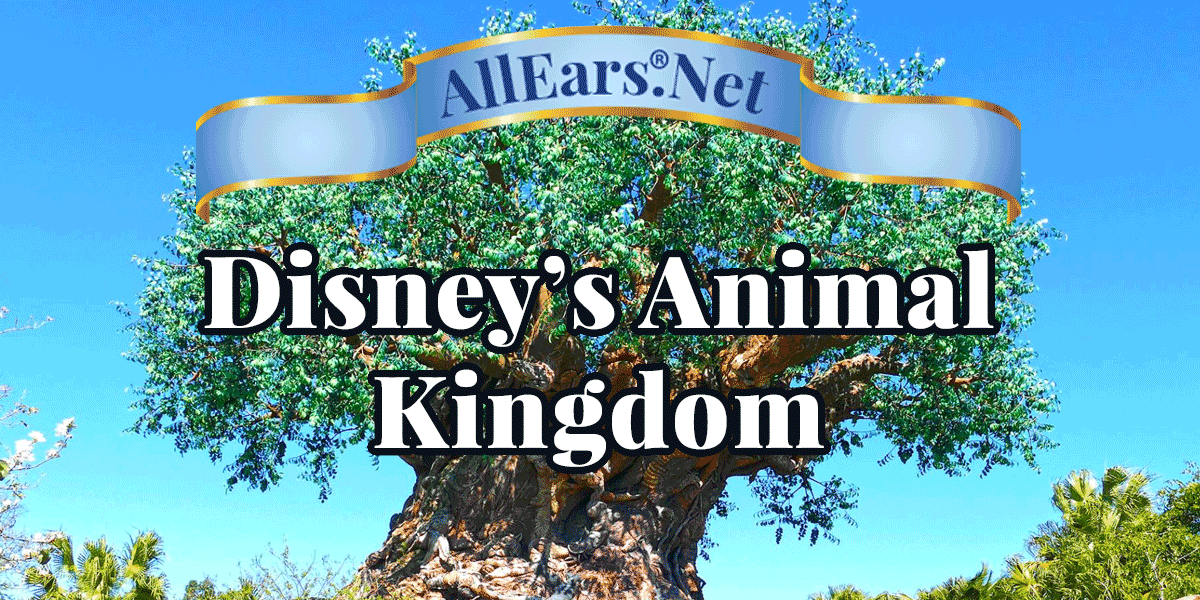 Your Guide to Disney's Animal Kingdom Park at Walt Disney World | AllEars.Net | AllEars.net