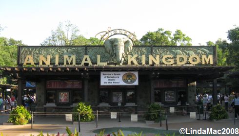 Animal Kingdom Entrance