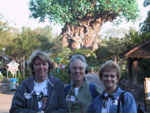 AllEars Staff Mary Brennan, Deb Wills and Debra Martin Koma experience "Wild by Design" tour.