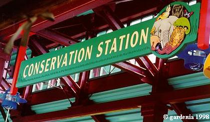 Rafiki's Planet Watch