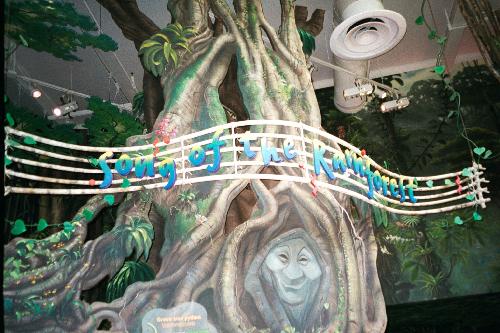 Sounds of the Rainforest