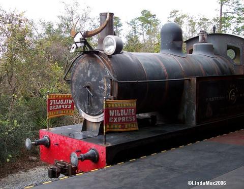Wildlife Express Train