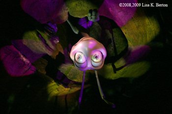 Flik