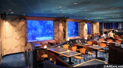 Coral Reef