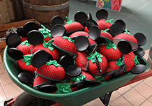 Strawberry Ear Hat