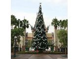 Christmas Tree at Disney's MGM Studios before the Hat