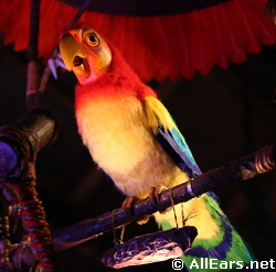 Jose Tiki Bird