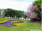The Land