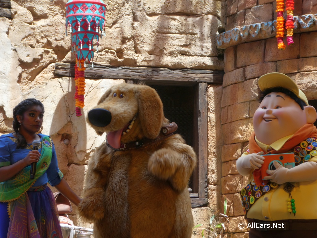 Up A Great Bird Adventure at Disney's Animal Kingdom