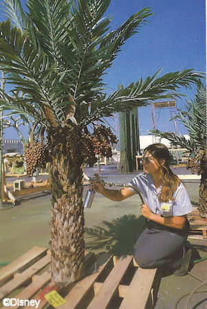 Imagineer at Work