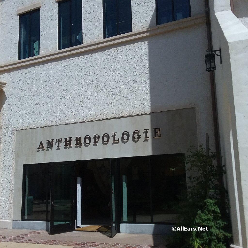 Anthropologie