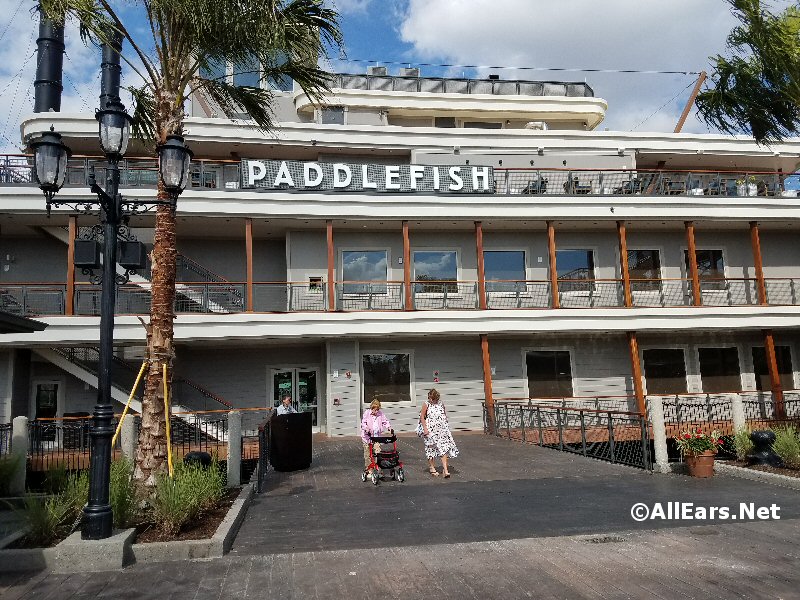 Paddlefish