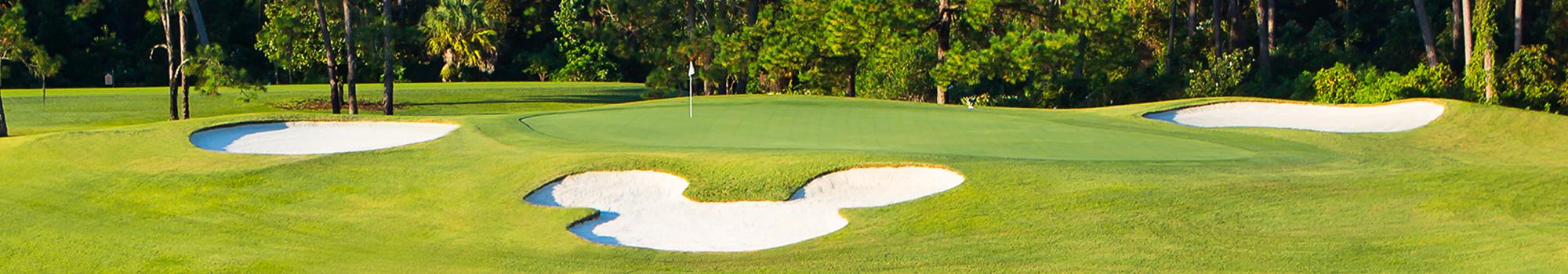 Walt Disney World Golf