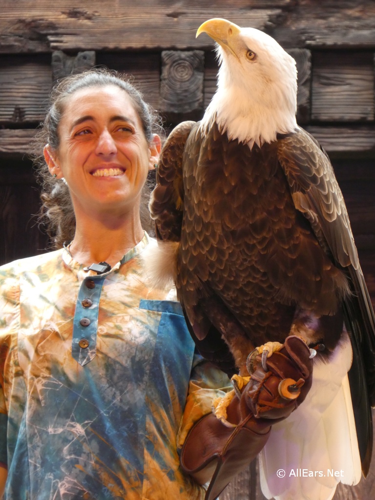 Up A Great Bird Adventure at Disney's Animal Kingdom